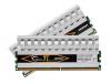 4GB G.Skill DDR2 PC2-6400 TT (PI) Series (5-5-5-15) Dual Channel kit w/ PI Heatsinks