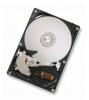 500GB Hitachi Deskstar P7K500 3.5" IDE Hard Drive (8MB cache, 7200rpm)