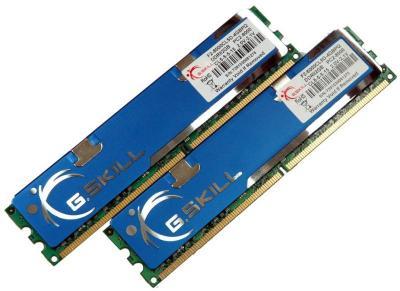 2GB G.Skill DDR2 PC2-6400 NT Series CL5 Single memory module 