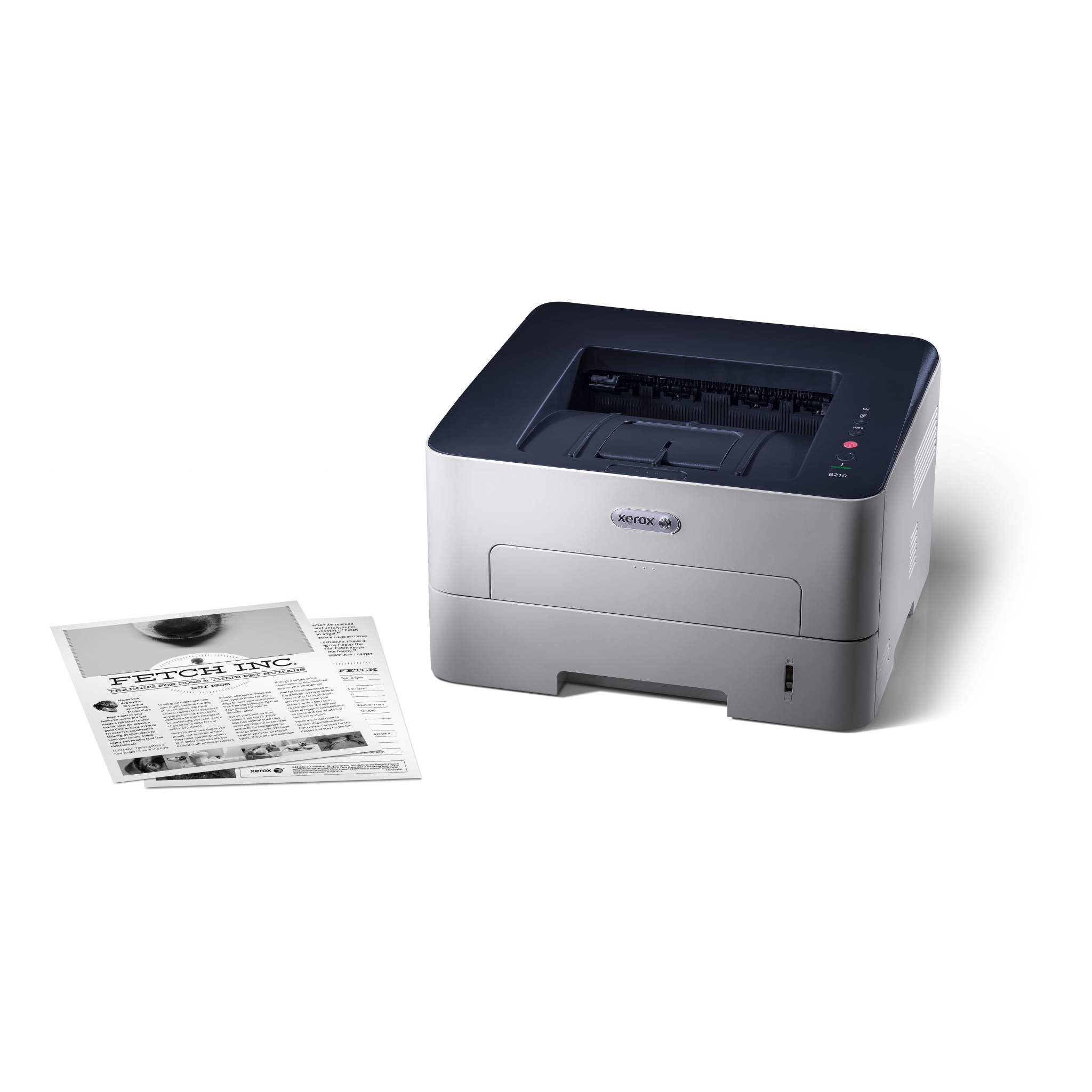 xerox printer b210