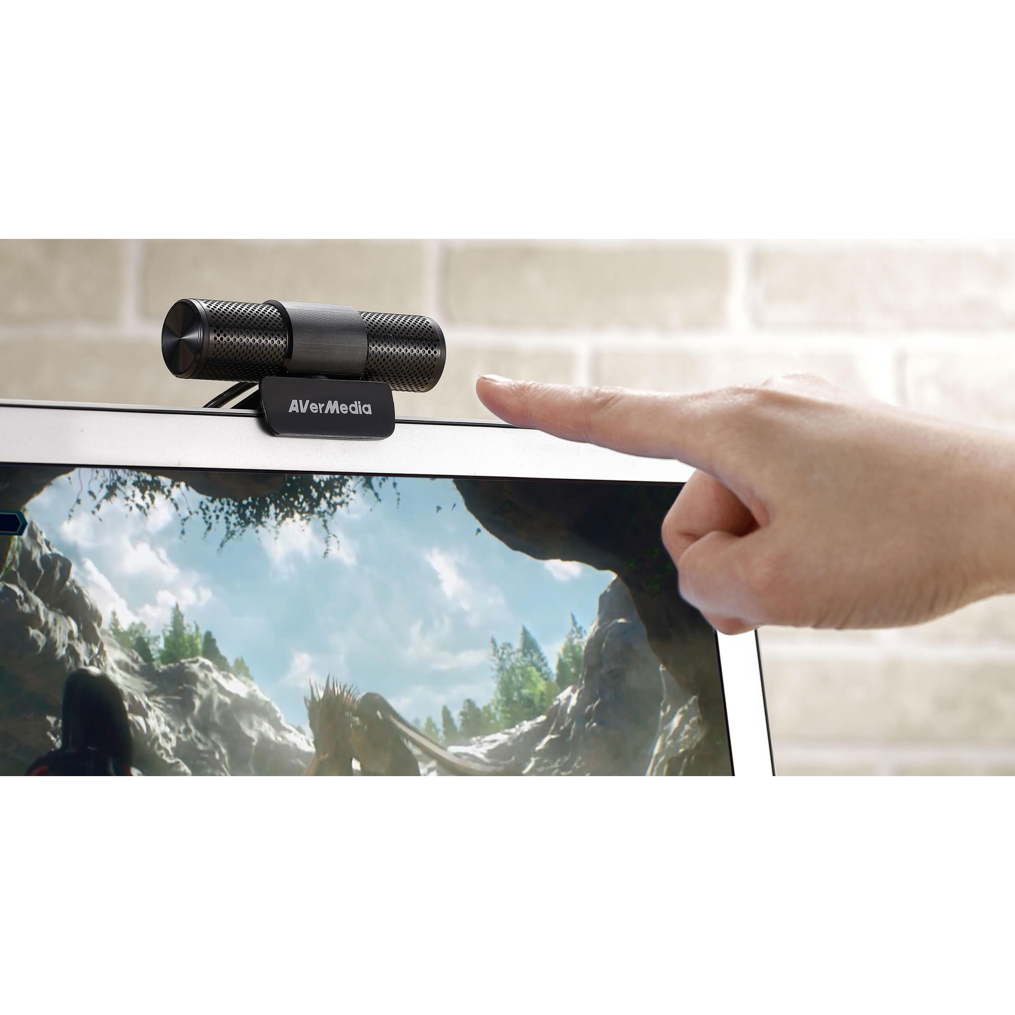 AVerMedia Live Streamer Webcam 313