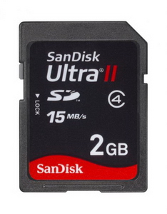 SanDisk Wii 2GB Secure Digital SD Gaming Memory Card Bulk Packaging 